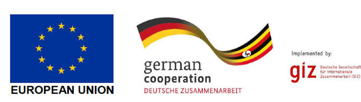 GIZ Logo